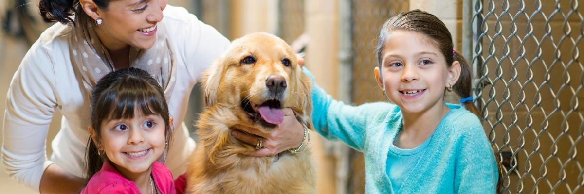 Signs Your Pet Is Craving More Daily Attention