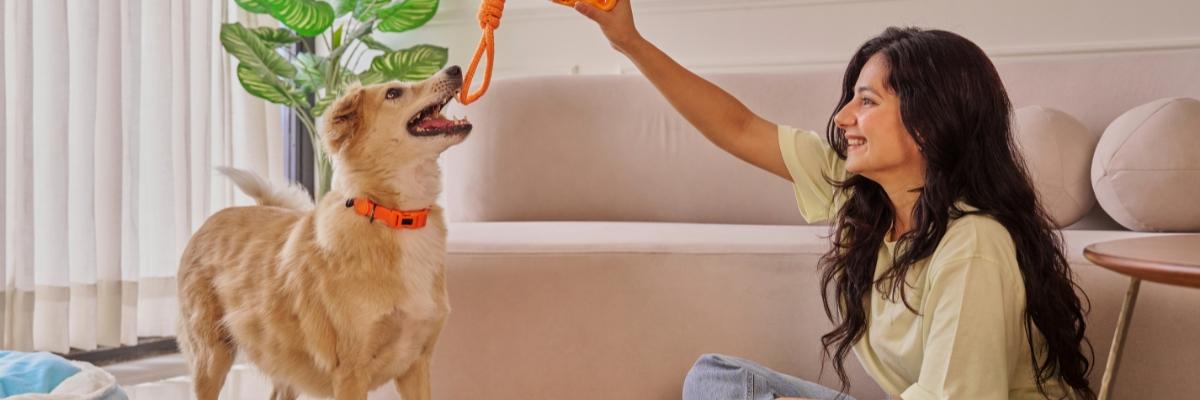 How Routine Changes Trigger Anxiety in Pets